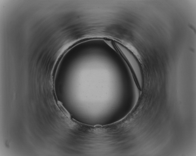 X0000091731380200708311151