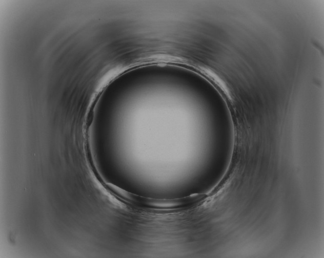 X0000091731381200708311151