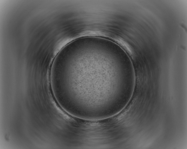 X0000091731382200708311151