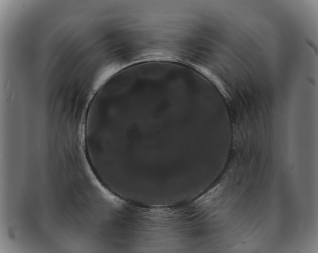 X0000091731383200708311151