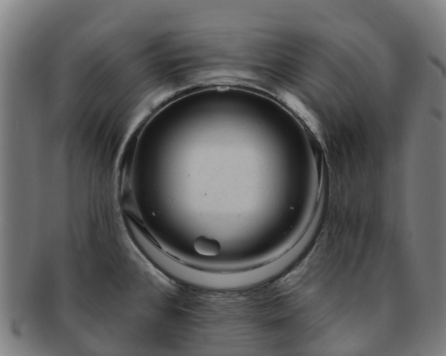 X0000091731384200708311151