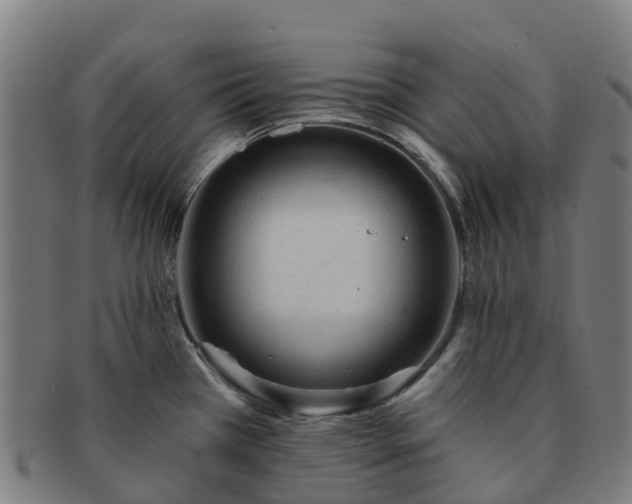 X0000091731385200708311151