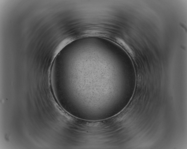 X0000091731386200708311151