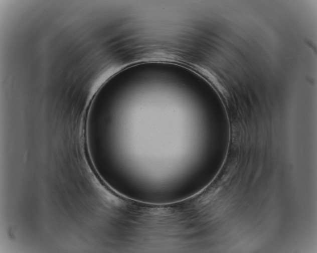 X0000091731387200708311151