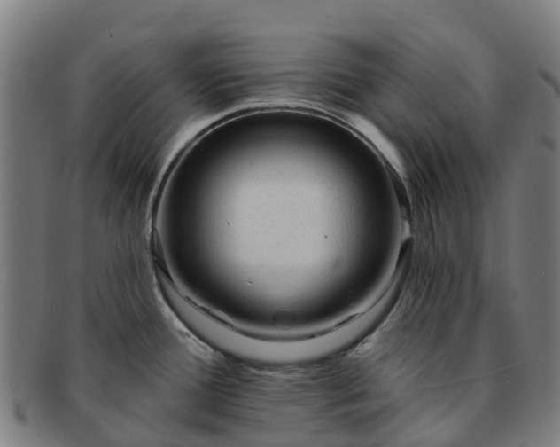 X0000091731388200708311151
