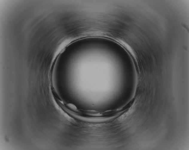 X0000091731389200708311151