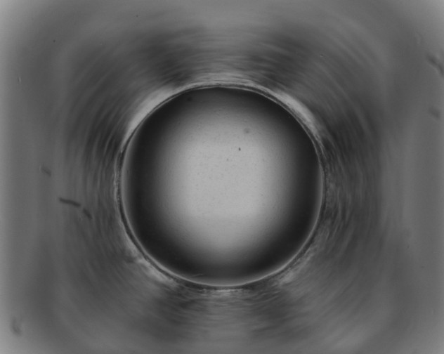 X0000091731390200708311151