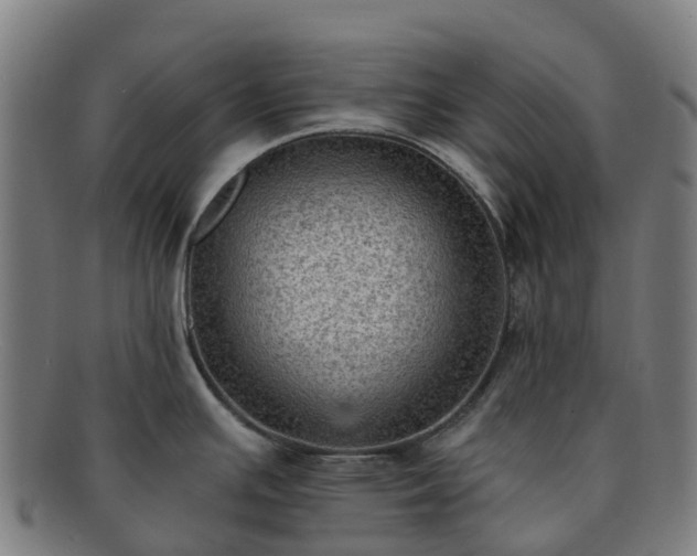 X0000091731391200708311151