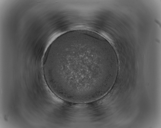 X0000091731392200708311151