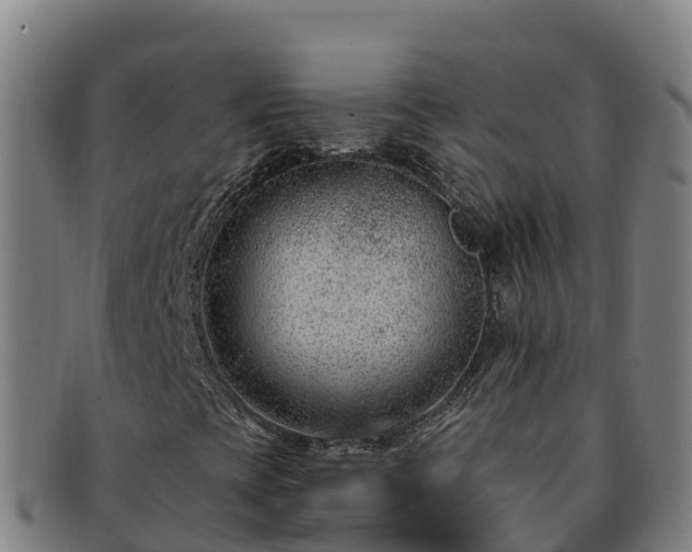 X0000091731393200708311151