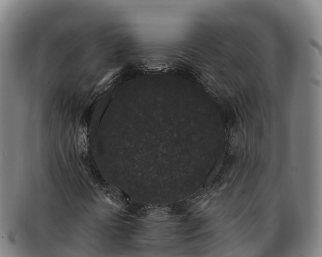 X0000091731394200708311151