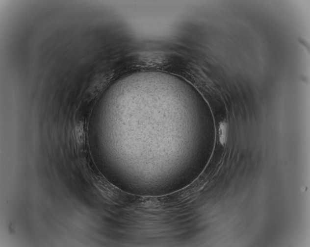 X0000091731395200708311151