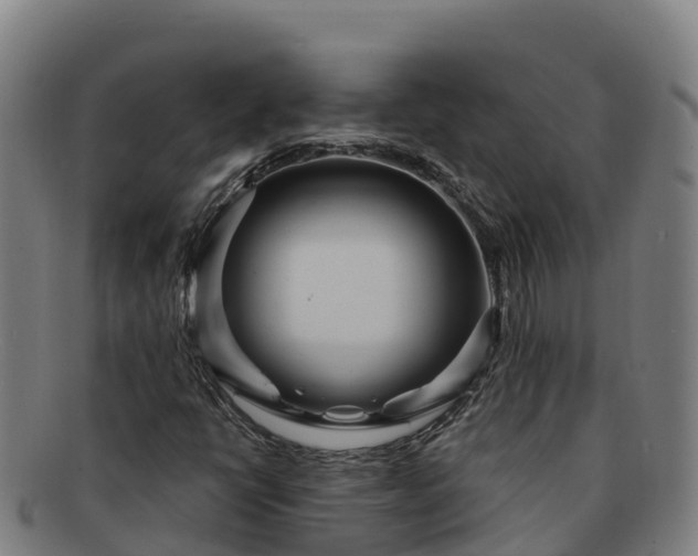 X0000091731398200708311151