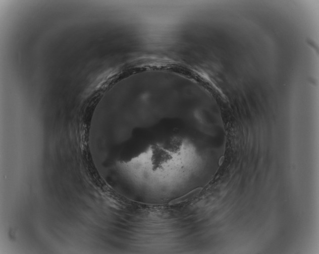 X0000091731399200708311151