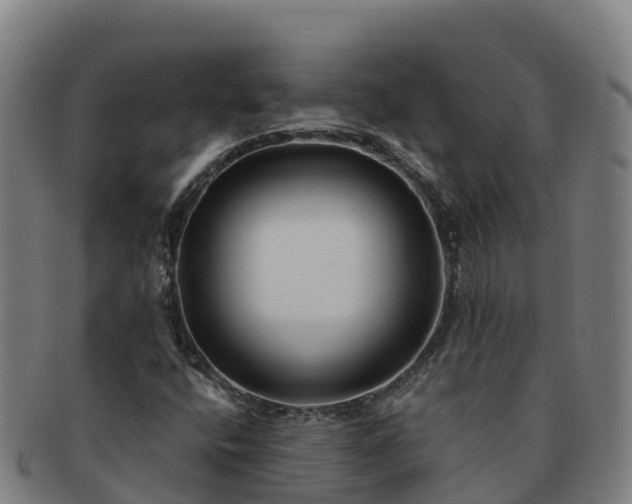 X0000091731400200708311151