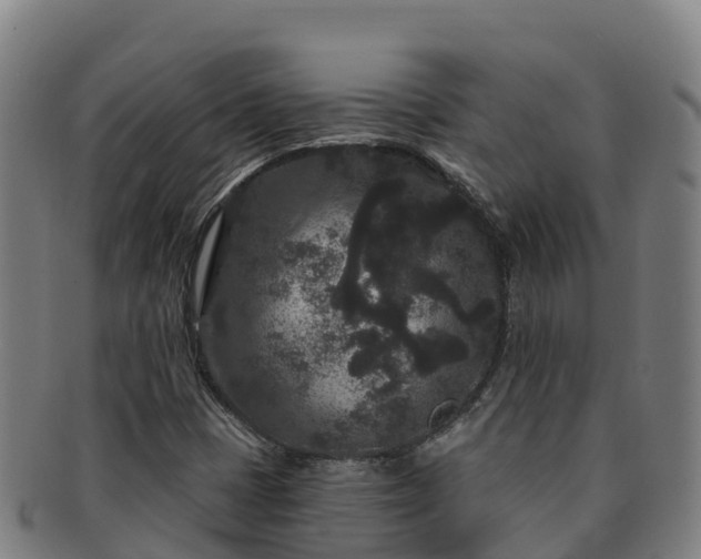 X0000091731401200708311151