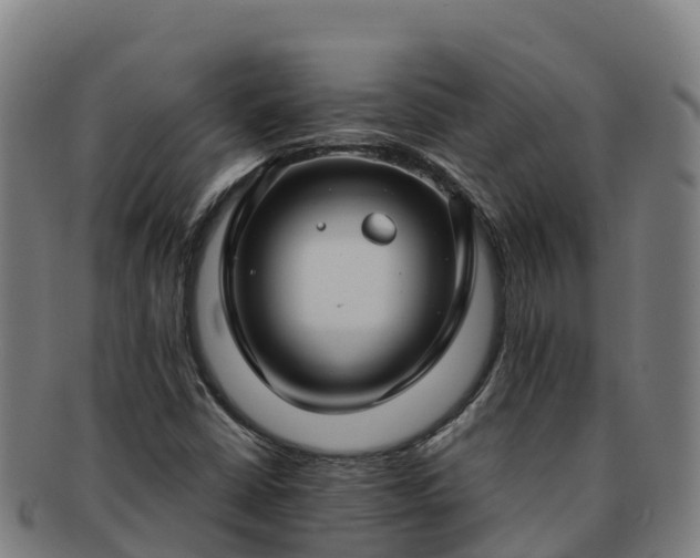 X0000091731402200708311151