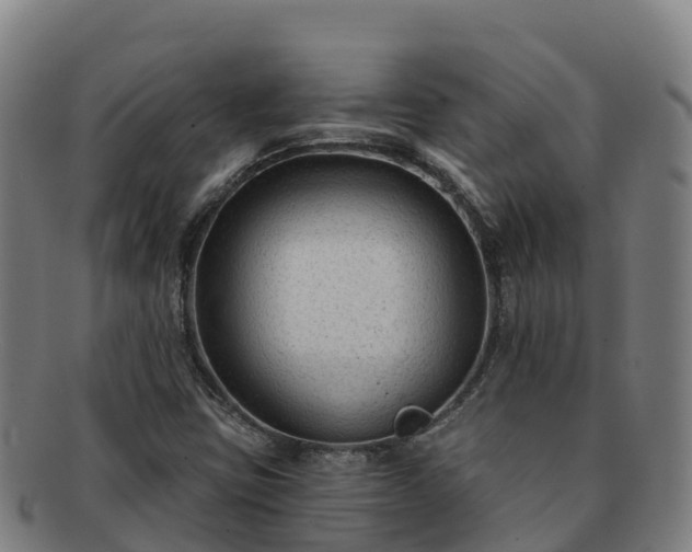 X0000091731403200708311151