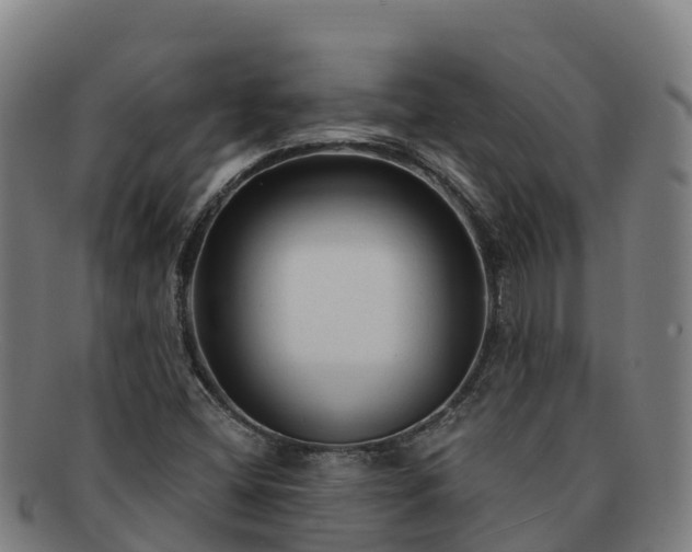 X0000091731404200708311151
