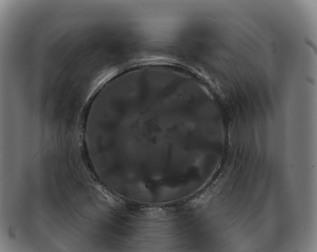 X0000091731405200708311151
