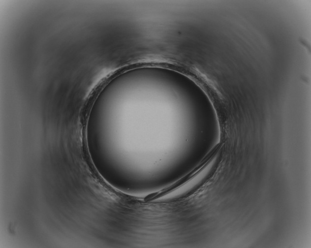 X0000091731408200708311151