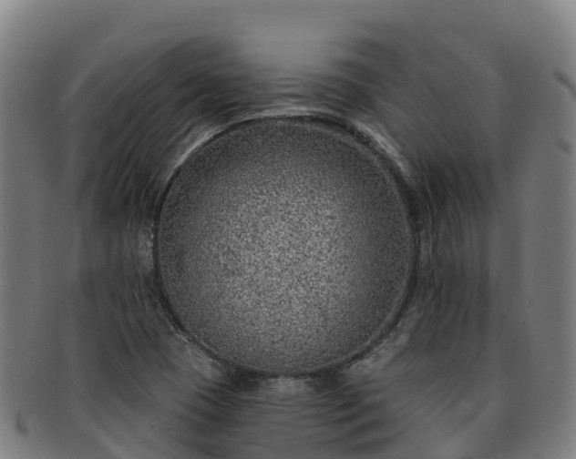 X0000091731409200708311151