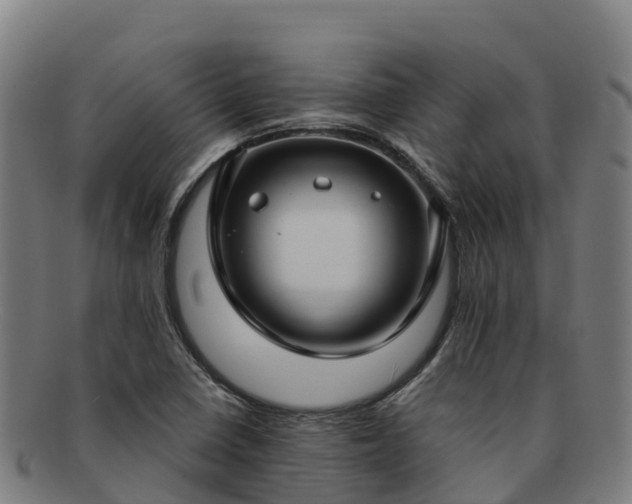 X0000091731410200708311151