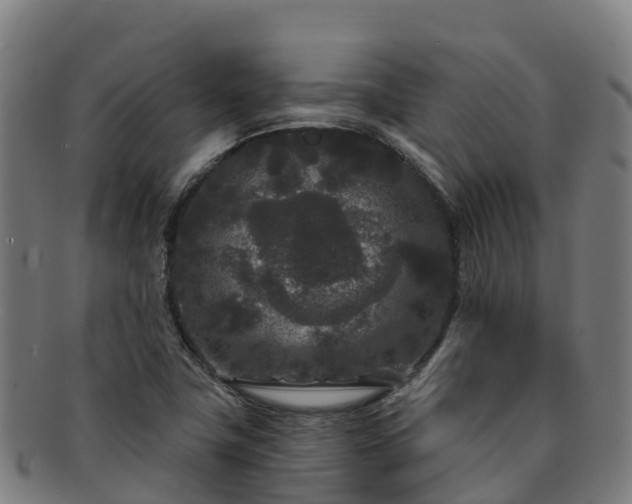 X0000091731411200708311151