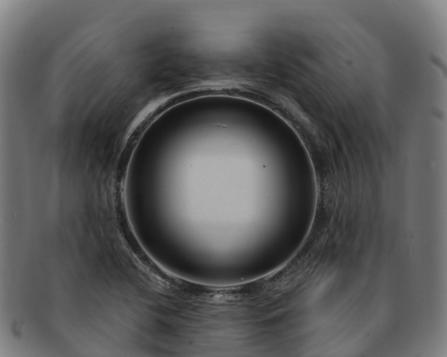 X0000091731412200708311151