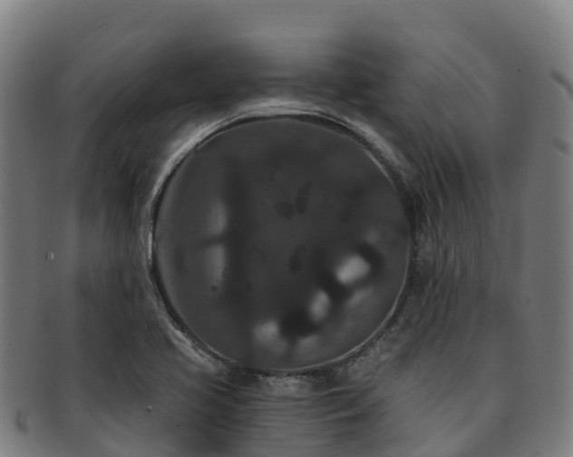 X0000091731413200708311151