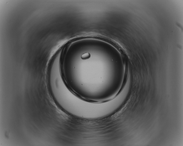 X0000091731414200708311151