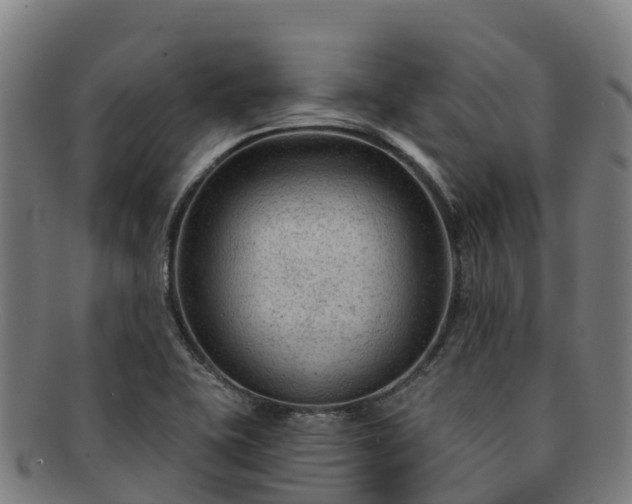 X0000091731415200708311151