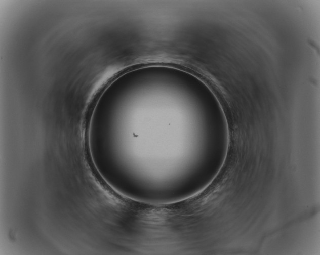 X0000091731416200708311151