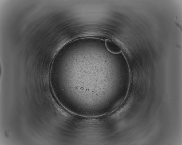 X0000091731417200708311151