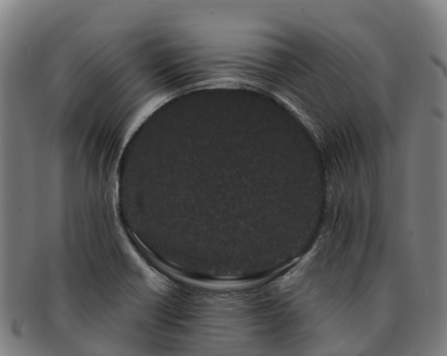 X0000091731418200708311151