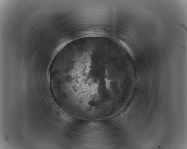 X0000091731419200708311151