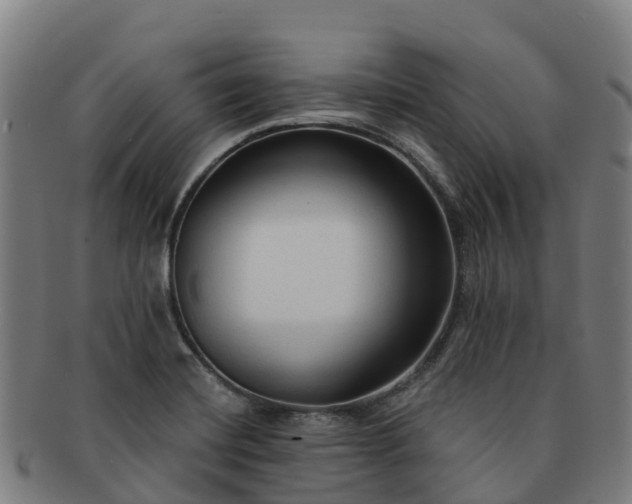 X0000091731420200708311151