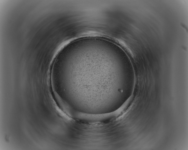 X0000091731421200708311151