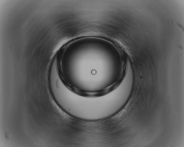 X0000091731422200708311151