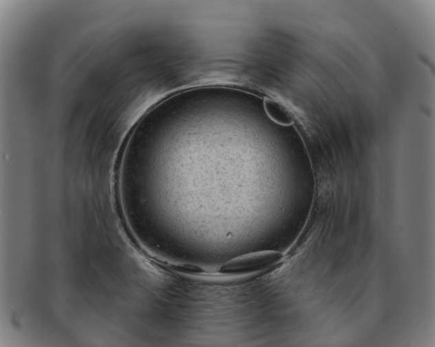 X0000091731423200708311151