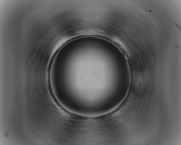 X0000091731424200708311151