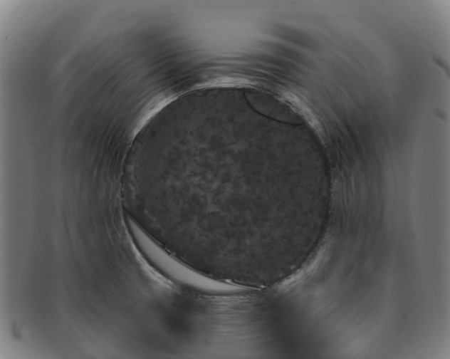 X0000091731425200708311151