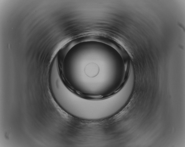 X0000091731426200708311151