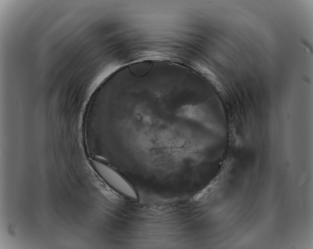 X0000091731427200708311151