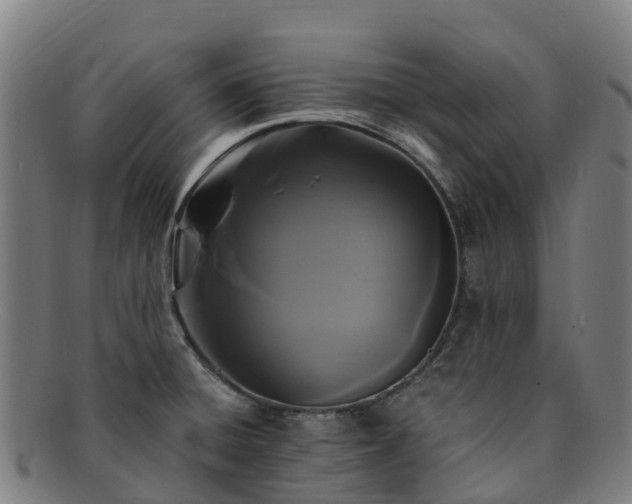 X0000091731428200708311151