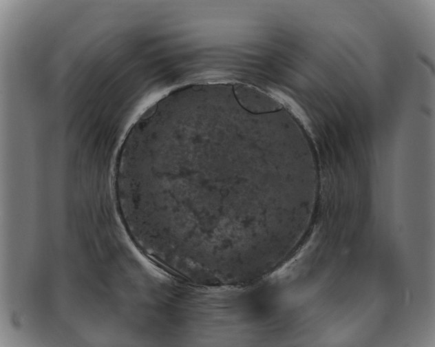 X0000091731429200708311151