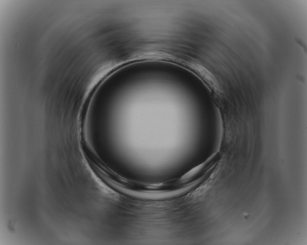 X0000091731430200708311151