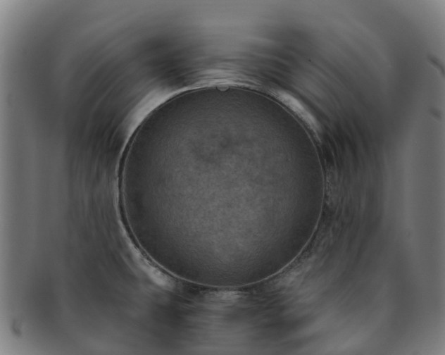 X0000091731431200708311151