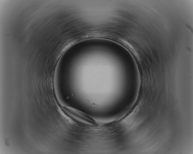 X0000091731433200708311151