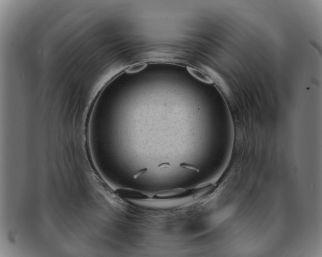X0000091731435200708311151
